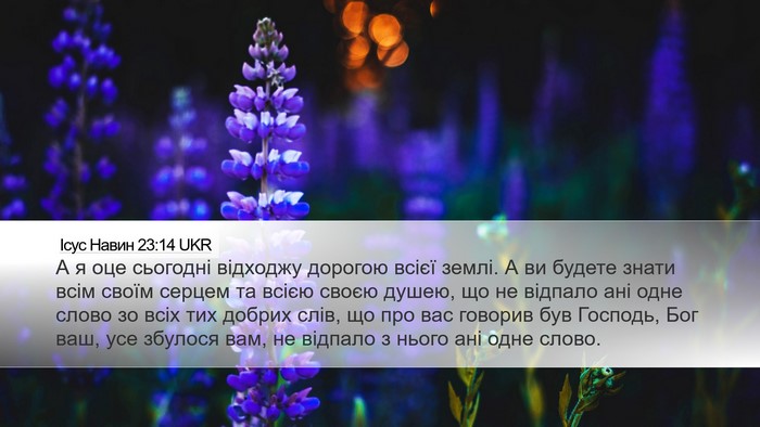 Ісус Навин 23:14 UKR Desktop Wallpaper - А я оце сьогодні відходжу - Desktop Bible Verse Wallpaper