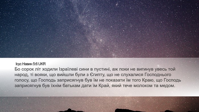Ісус Навин 5:6 UKR Desktop Wallpaper - Бо сорок літ ходили - Desktop Bible Verse Wallpaper