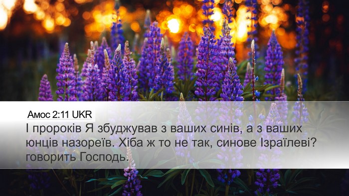 Амос 2:11 UKR Bible Verse Image