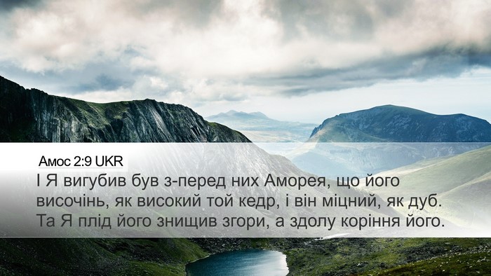 Амос 2:9 UKR Bible Verse Image