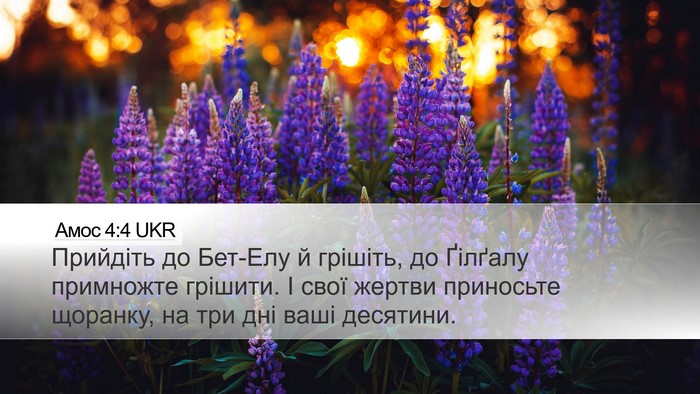 Амос 4:4 UKR Bible Verse Image