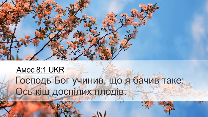Амос 8:1 UKR Bible Verse Image