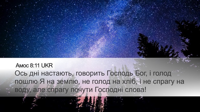 Амос 8:11 UKR Bible Verse Image
