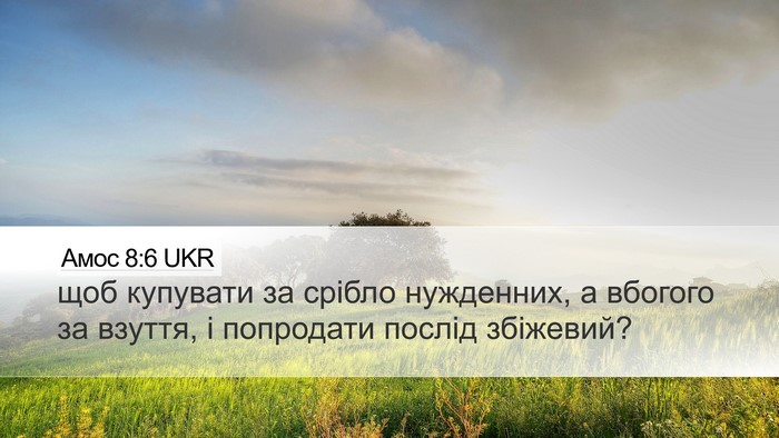 Амос 8:6 UKR Bible Verse Image