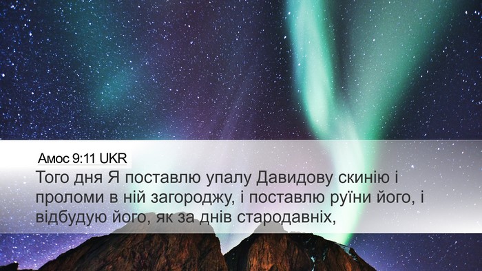 Амос 9:11 UKR Bible Verse Image