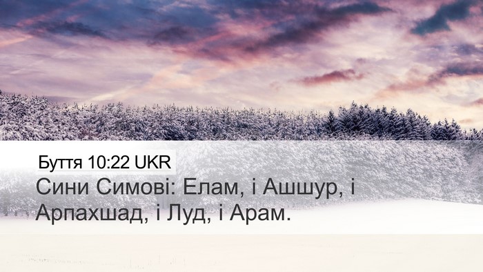 Буття 10:22 UKR Bible Verse Image