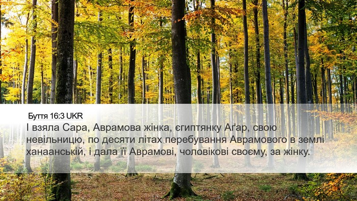 Буття 16:3 UKR Bible Verse Image