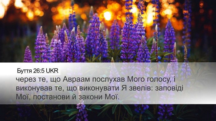 Буття 26:5 UKR Bible Verse Image