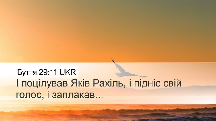 Буття 29:11 UKR Bible Verse Image