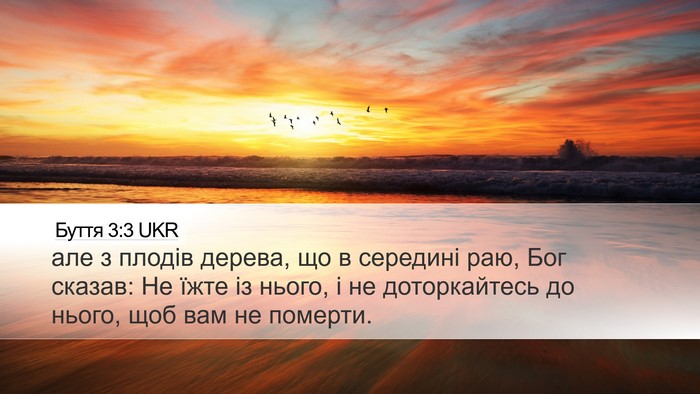 Буття 3:3 UKR Bible Verse Image