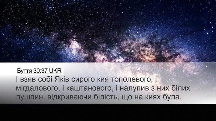Буття 30:37 UKR Bible Verse Image