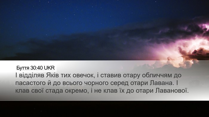 Буття 30:40 UKR Desktop Wallpaper - І відділяв Яків тих овечок, - Desktop Bible Verse Wallpaper