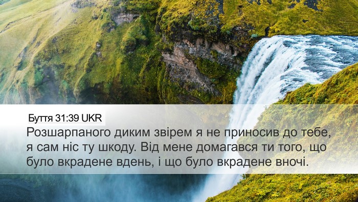 Буття 31:39 UKR Bible Verse Image
