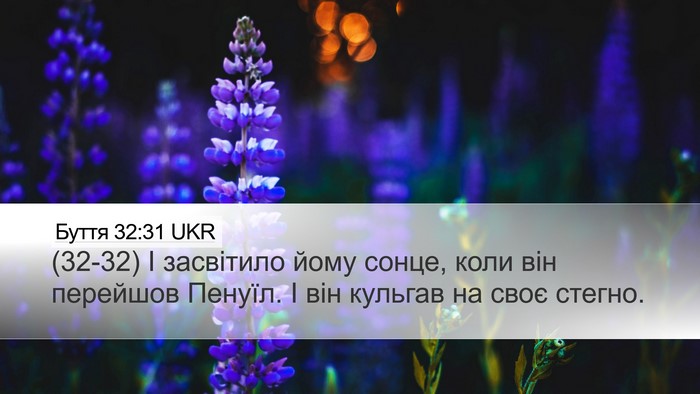 Буття 32:31 UKR Bible Verse Image