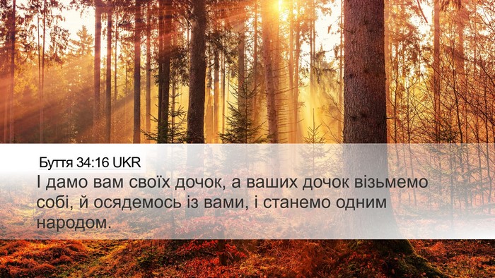 Буття 34:16 UKR Bible Verse Image