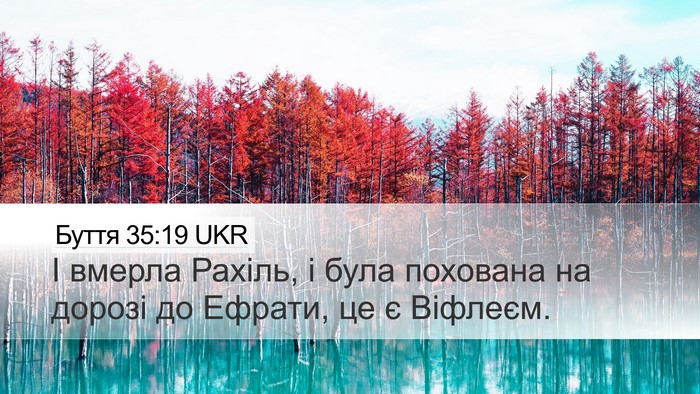 Буття 35:19 UKR Bible Verse Image
