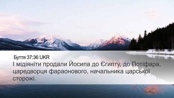 Буття 37:36 UKR Bible Verse Image