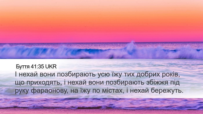 Буття 41:35 UKR Desktop Wallpaper - І нехай вони позбирають - Desktop Bible Verse Wallpaper