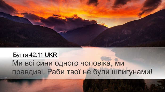 Буття 42:11 UKR Bible Verse Image