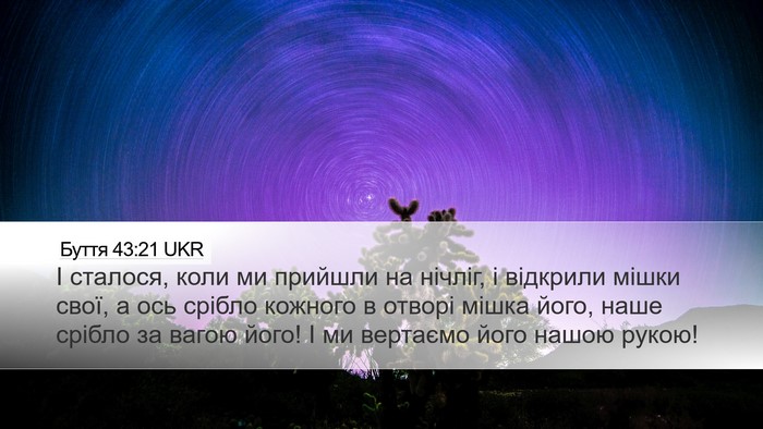 Буття 43:21 UKR Bible Verse Image