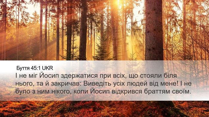 Буття 45:1 UKR Desktop Wallpaper - І не міг Йосип здержатися - Desktop Bible Verse Wallpaper