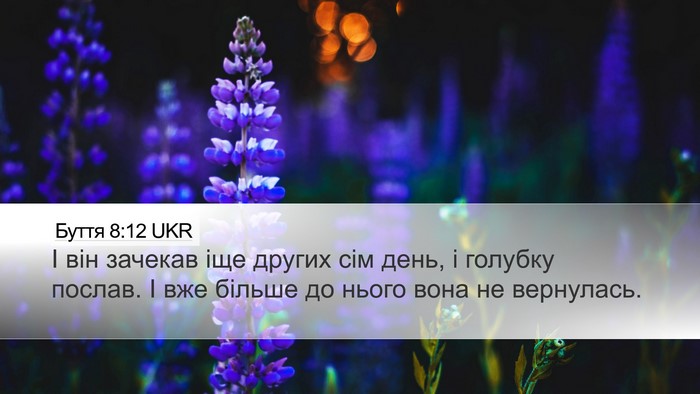 Буття 8:12 UKR Bible Verse Image