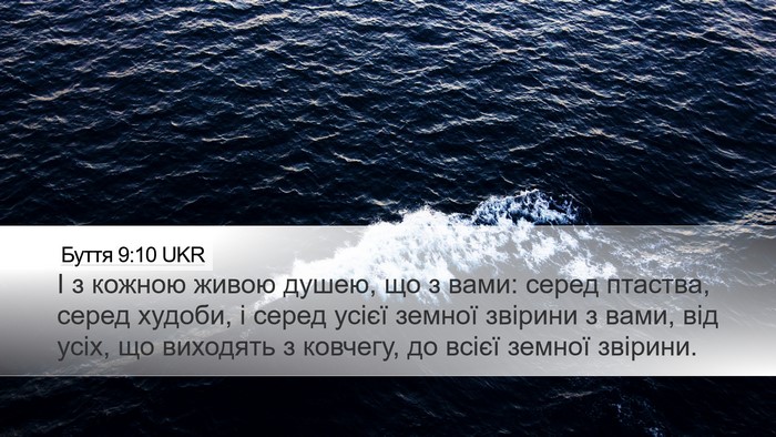 Буття 9:10 UKR Desktop Wallpaper - І з кожною живою душею, що з - Desktop Bible Verse Wallpaper