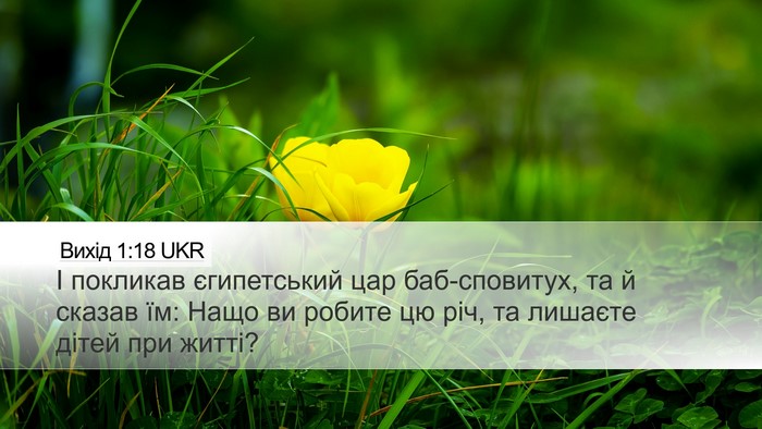 Вихід 1:18 UKR Desktop Wallpaper - І покликав єгипетський цар - Desktop Bible Verse Wallpaper
