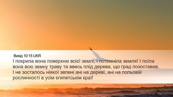 Вихід 10:15 UKR Desktop Wallpaper - І покрила вона поверхню - Desktop Bible Verse Wallpaper