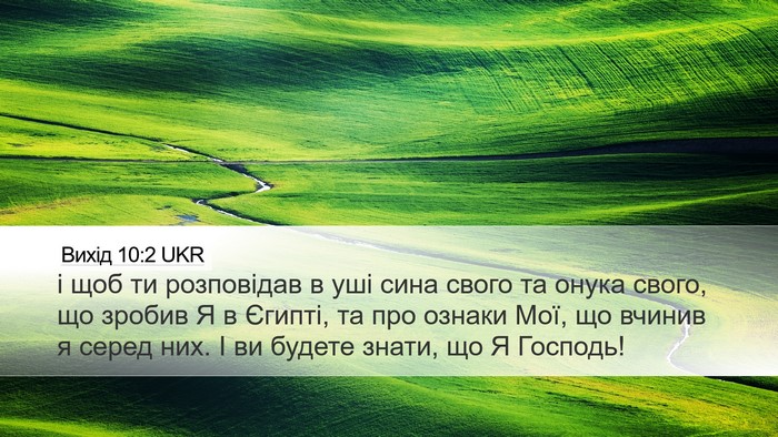 Вихід 10:2 UKR Bible Verse Image