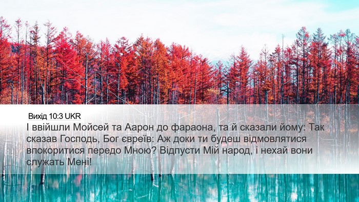 Вихід 10:3 UKR Bible Verse Image