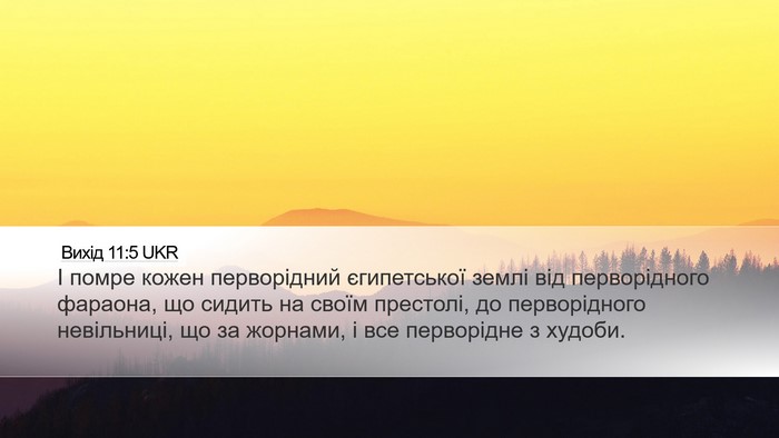 Вихід 11:5 UKR Bible Verse Image