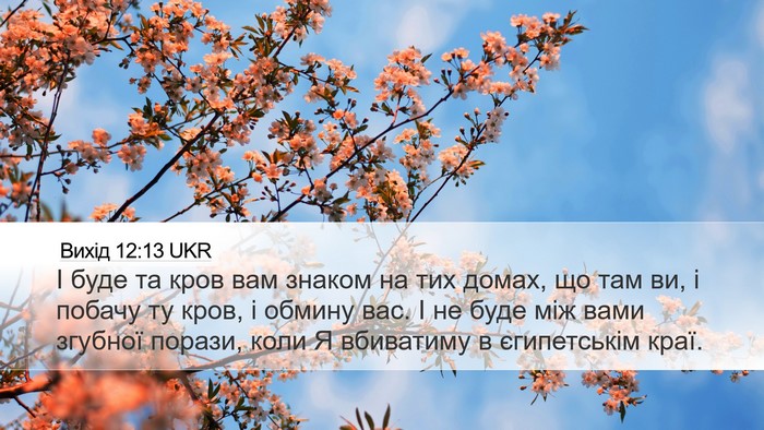 Вихід 12:13 UKR Bible Verse Image