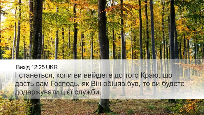 Вихід 12:25 UKR Desktop Wallpaper - І станеться, коли ви - Desktop Bible Verse Wallpaper