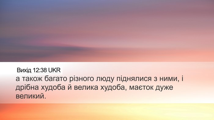 Вихід 12:38 UKR Bible Verse Image