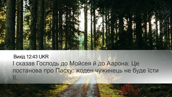 Вихід 12:43 UKR Bible Verse Image