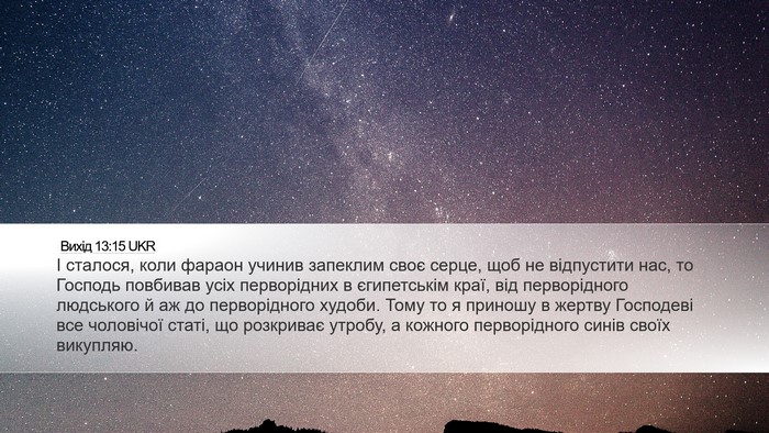 Вихід 13:15 UKR Bible Verse Image