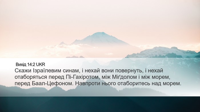 Вихід 14:2 UKR Bible Verse Image