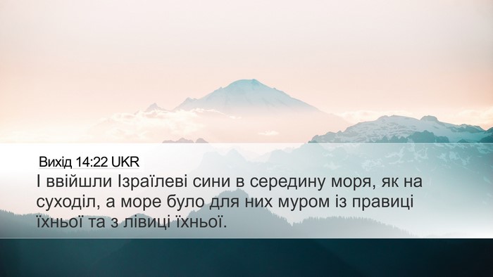 Вихід 14:22 UKR Bible Verse Image