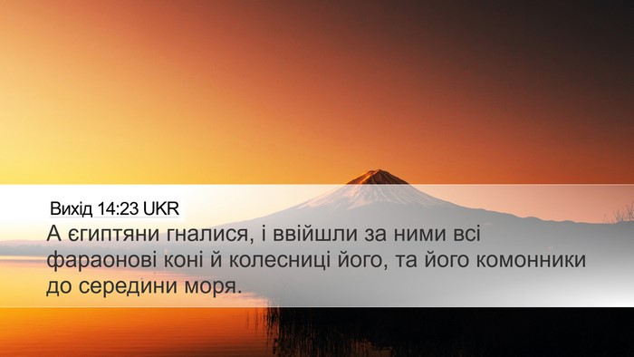 Вихід 14:23 UKR Bible Verse Image