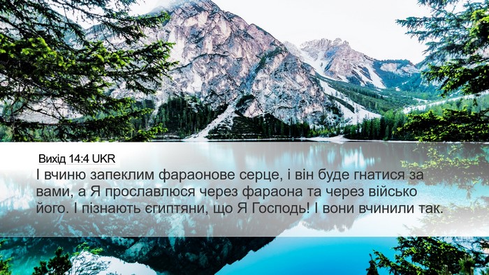 Вихід 14:4 UKR Bible Verse Image