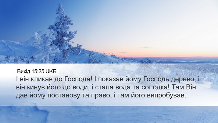 Вихід 15:25 UKR Bible Verse Image