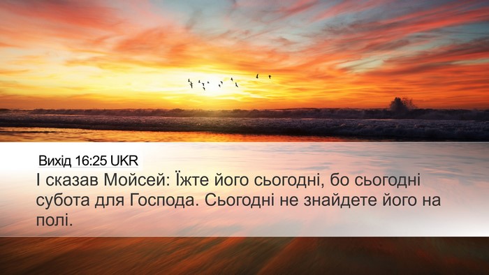 Вихід 16:25 UKR Bible Verse Image