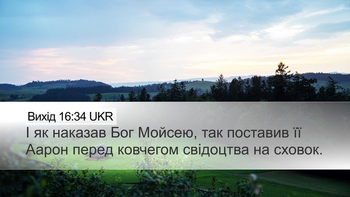 Вихід 16:34 UKR Bible Verse Image