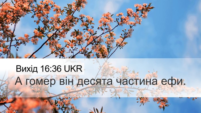 Вихід 16:36 UKR Bible Verse Image
