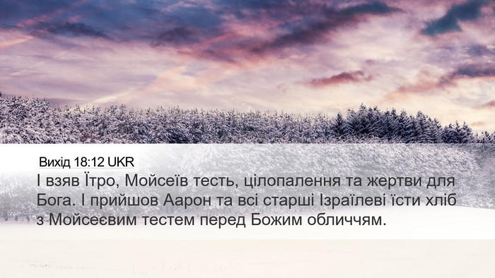 Вихід 18:12 UKR Bible Verse Image