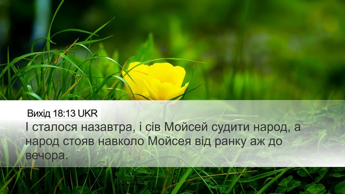 Вихід 18:13 UKR Bible Verse Image