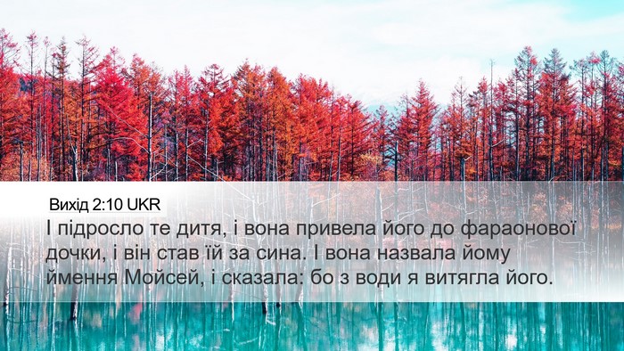 Вихід 2:10 UKR Bible Verse Image