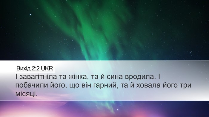 Вихід 2:2 UKR Bible Verse Image