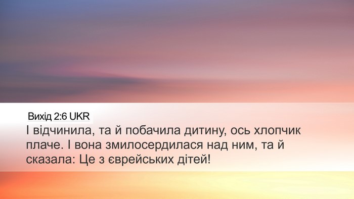 Вихід 2:6 UKR Bible Verse Image